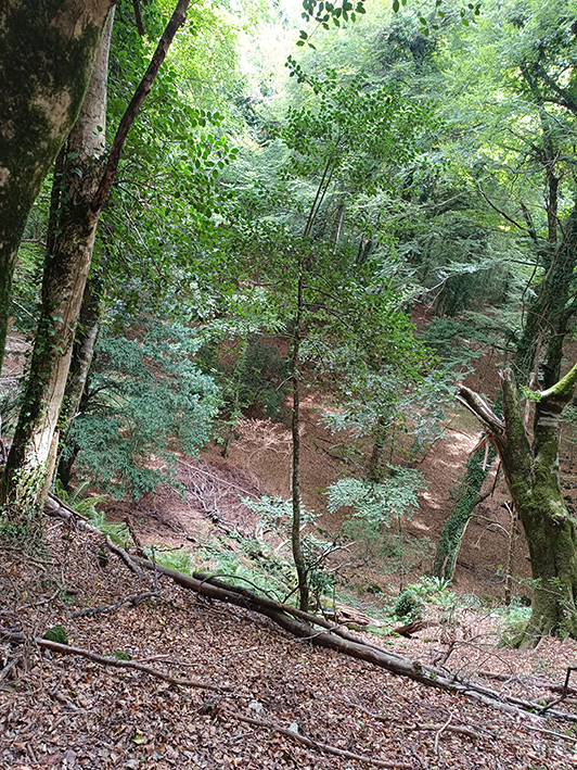 Foresta Umbra ©beautytudine Foresta Umbra ©beautytudine