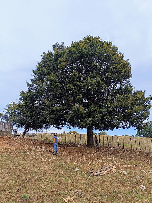 Michele - Masseria U’Sculer ©beautytudine Michele - Masseria U’Sculer ©beautytudine