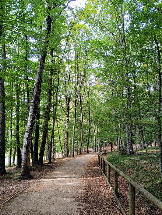 Foresta Umbra ©beautytudine Foresta Umbra ©beautytudine