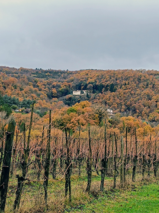 Vista Eremo Vista Eremo