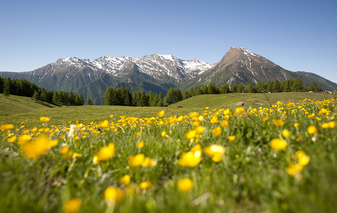 LE STRADE DEI FORTI 7