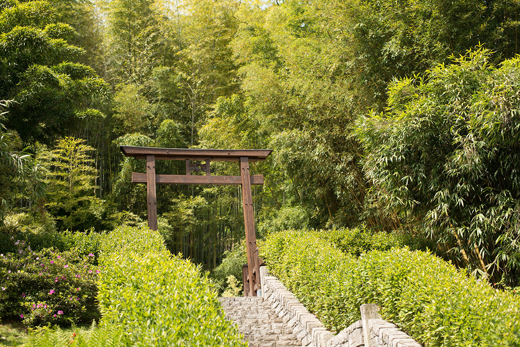 Villa Carlotta Stagione 2026 9