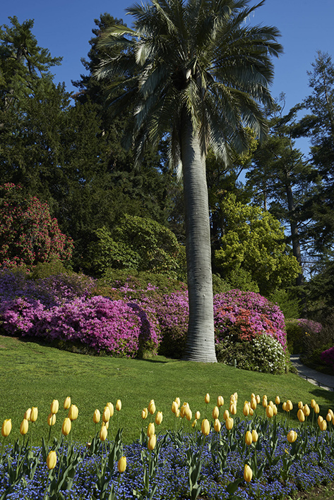 Villa Carlotta Stagione 20266