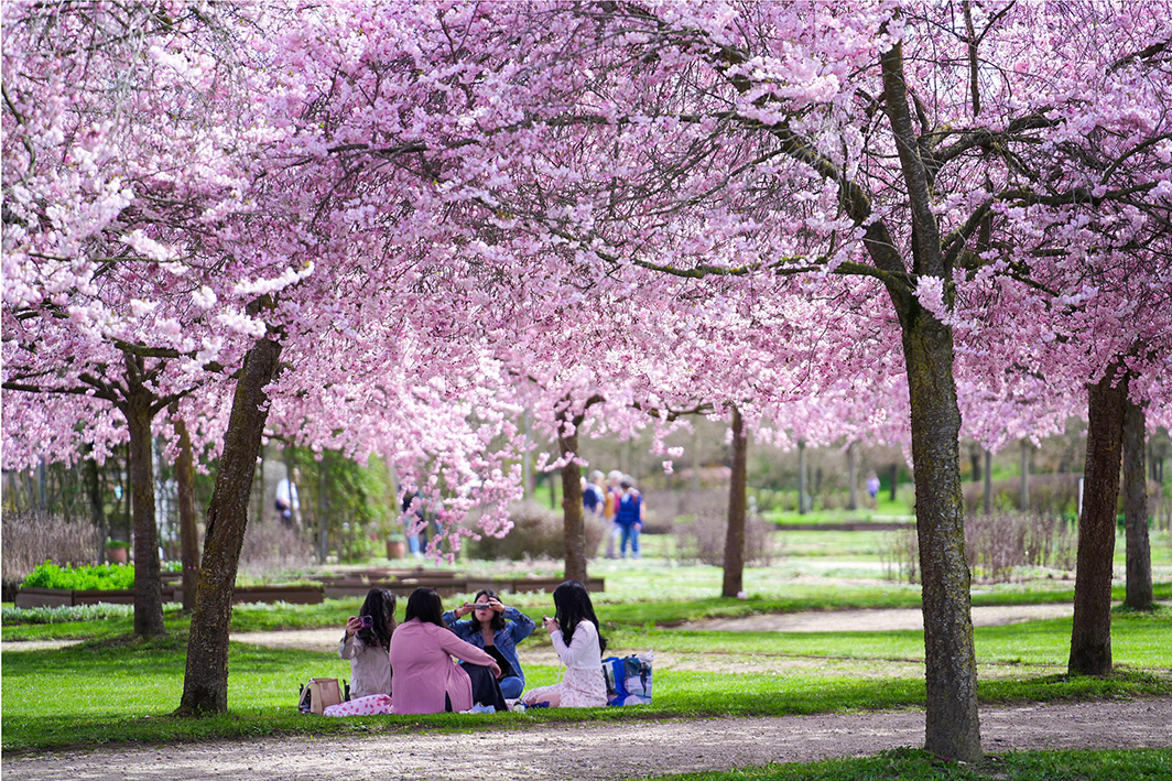 ©Michele di Ottavio ©Michele di Ottavio