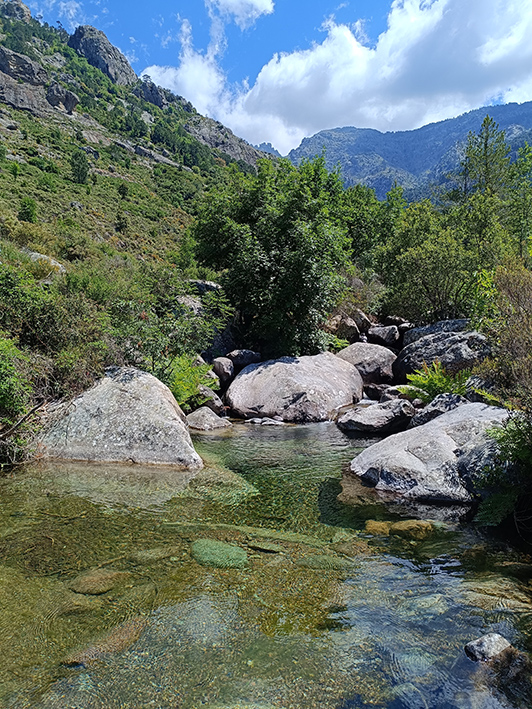 Domaine à Flatta torrente_20260522_143822