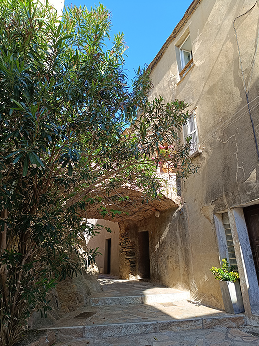Erbalunga ©beautytudine