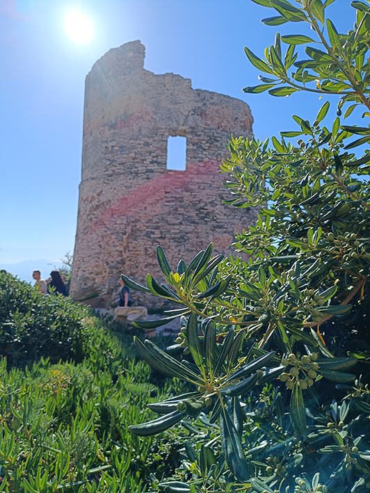 Erbalunga - Torre genovese ©beautytudine
