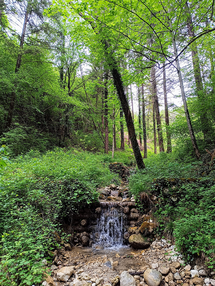 Parco Terme di Comano ©beautytudine Parco Terme di Comano ©beautytudine