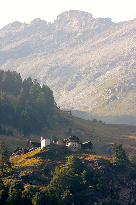 Alpenzu