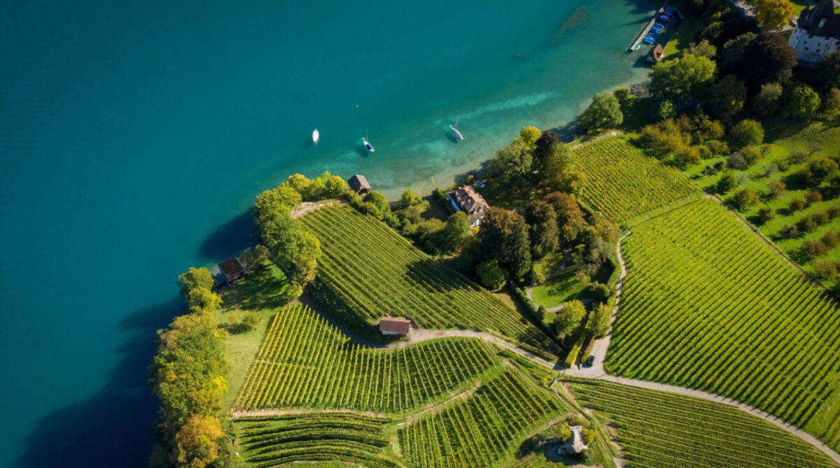 Lago Thun ©BLS Trenino Verde delle Alpi Lago Thun ©BLS Trenino Verde delle Alpi
