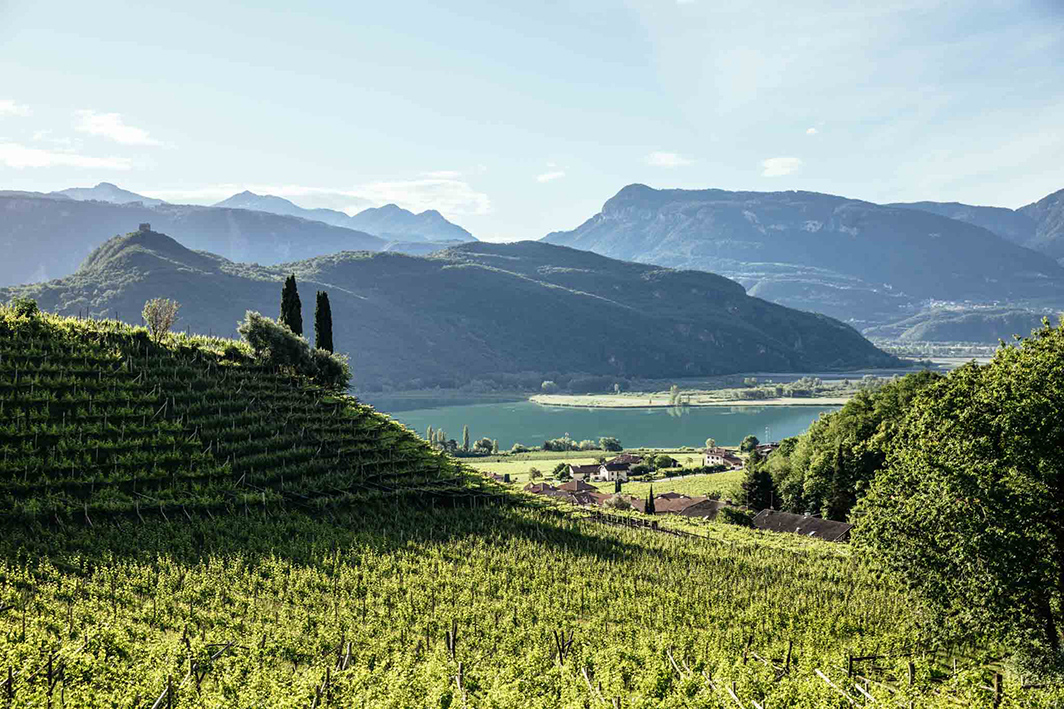 Sudtirol Wein - 1