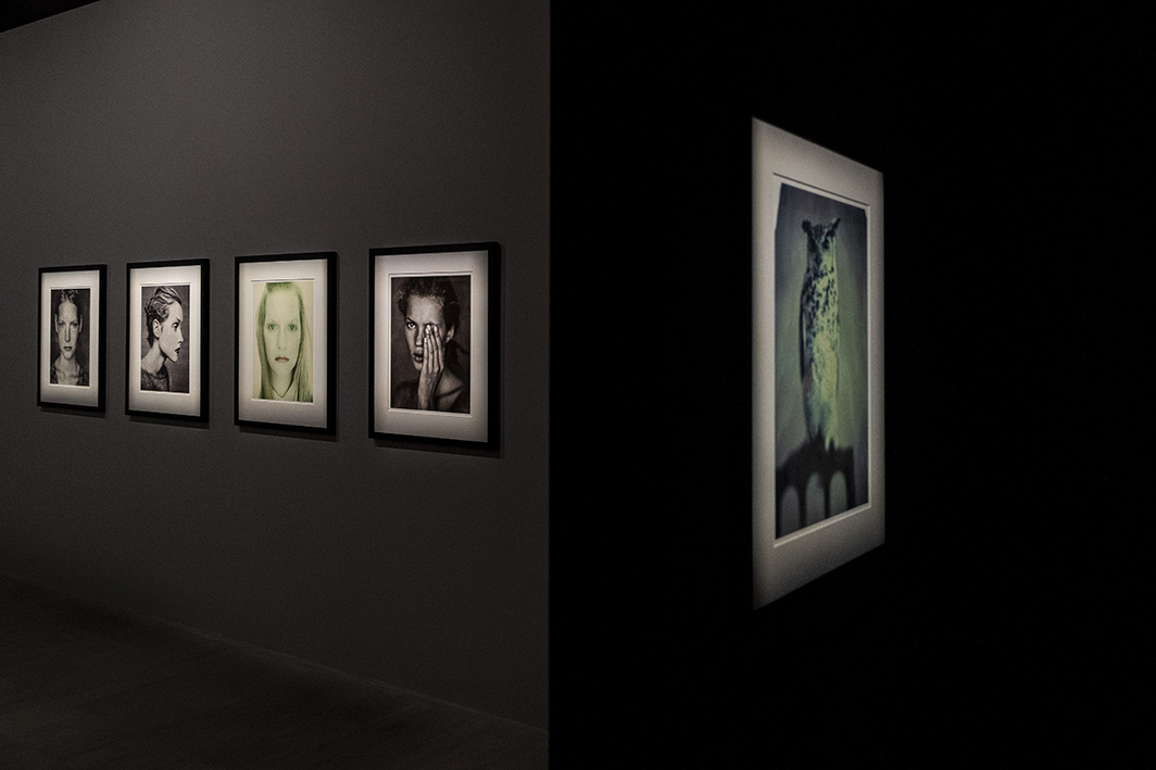 Galleria Paolo Roversi - MAR @ Alessandro Levati