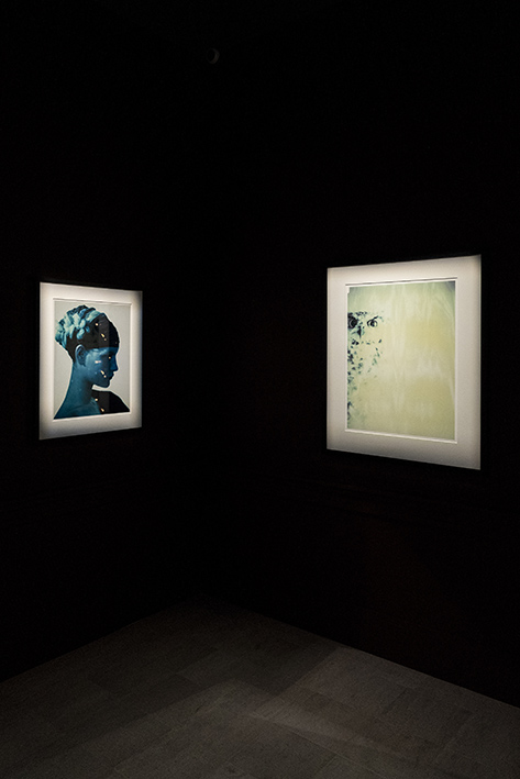Galleria Paolo Roversi - MAR @ Alessandro Levati