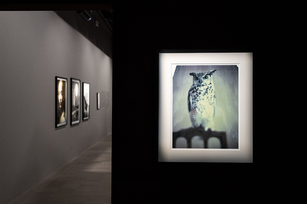Galleria Paolo Roversi - MAR @ Alessandro Levati