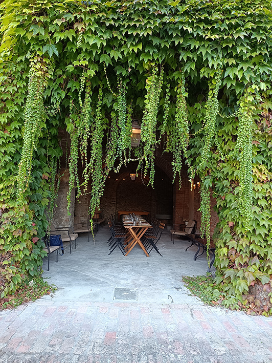 Tenuta Miranda &copy;beautytudine