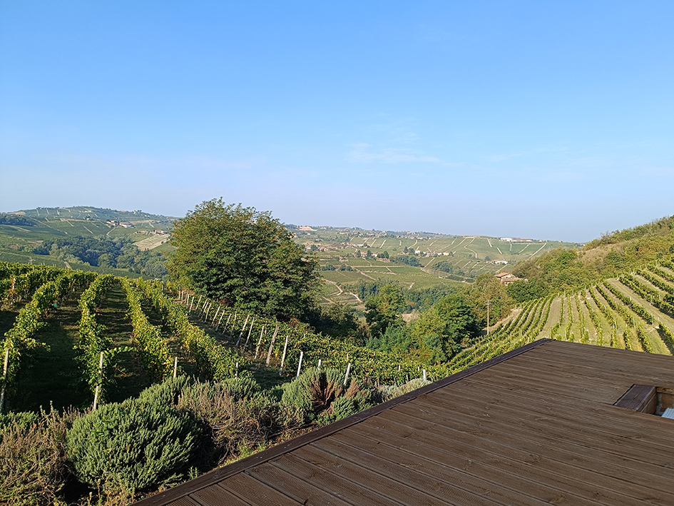 Azienda Agricola Fea &copy;beautytudine