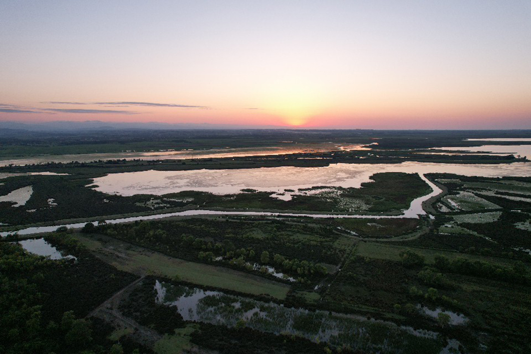 Santuario degli uccelli del delta di Kızılırmak