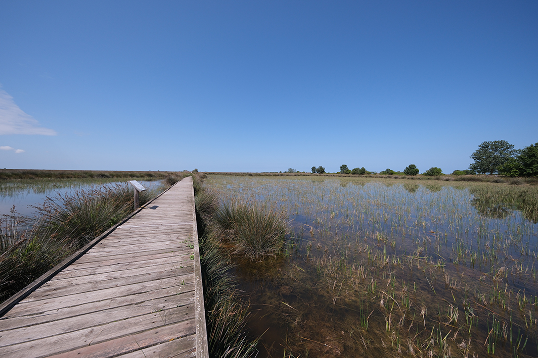 Santuario degli uccelli del delta di Kızılırmak