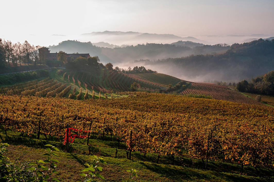 Vigneti della Tenuta Tenaglia. Serralunga di Crea, AL. Monferrato, Piemonte