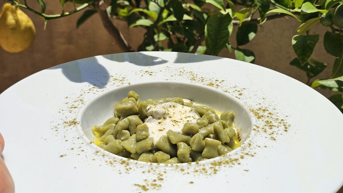 Gnocchi di patate castelluccesi, con farina di grano Senatore Cappelli, saltati con olio e rosmarino, su letto di stracciata di bufala lisciata e corona di mollica di pane saporito ai peperoni cruschi Gnocchi di patate castelluccesi, con farina di grano Senatore Cappelli, saltati con olio e rosmarino, su letto di stracciata di bufala lisciata e corona di mollica di pane saporito ai peperoni cruschi